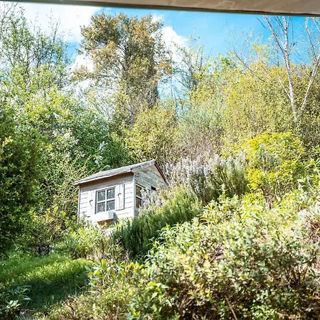 Evasion Champetre A Horizon P'y - Piscine * Puechoursi